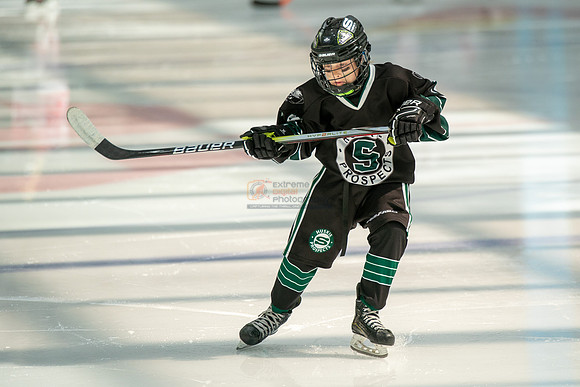 Husky-prospects-0028