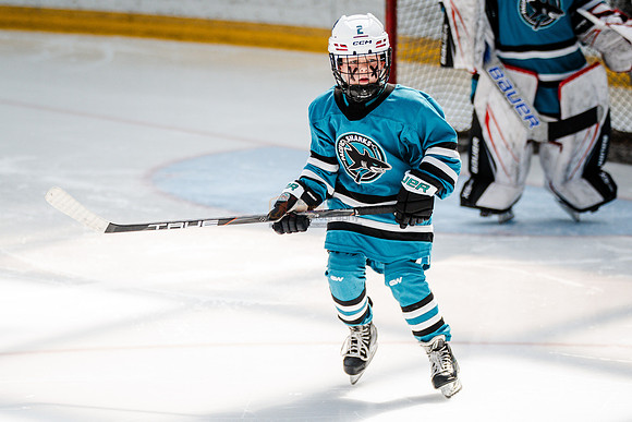 Sharks-may3-0055
