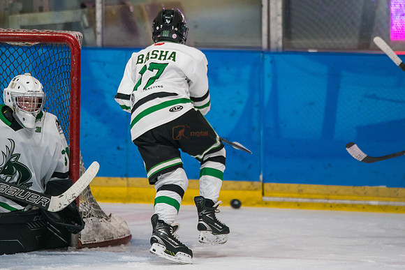 allstar-feb7-Basha-3-7