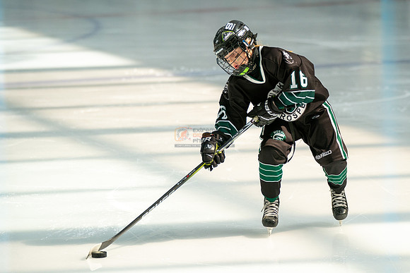 Husky-prospects-0031