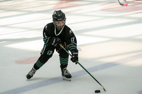 Husky-prospects-0361