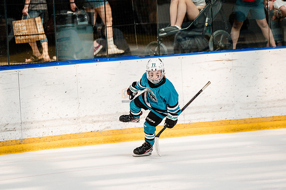 Sharks-may3-0365