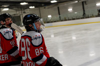 allstar-goal-diggers-04068