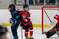 allstar-goal-diggers-04084