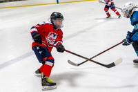 allstar-goal-diggers-04140