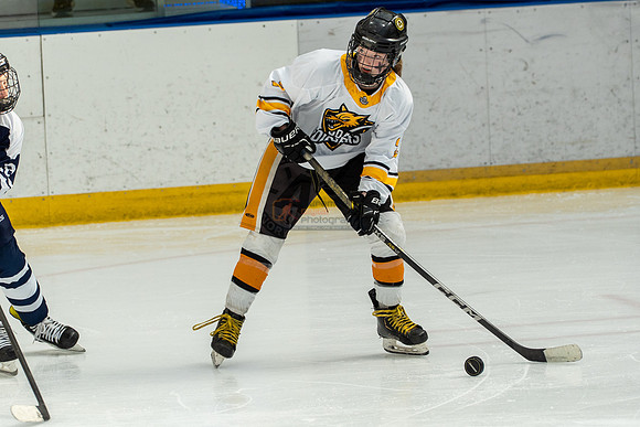 allstar-goal-diggers-04258