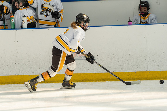 allstar-goal-diggers-04254