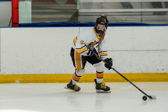 allstar-goal-diggers-04256