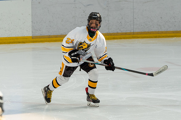 allstar-goal-diggers-04260