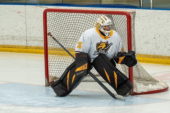 allstar-goal-diggers-04262