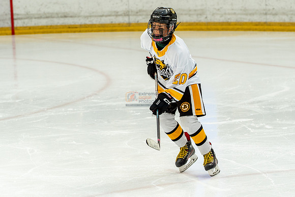 allstar-goal-diggers-04264