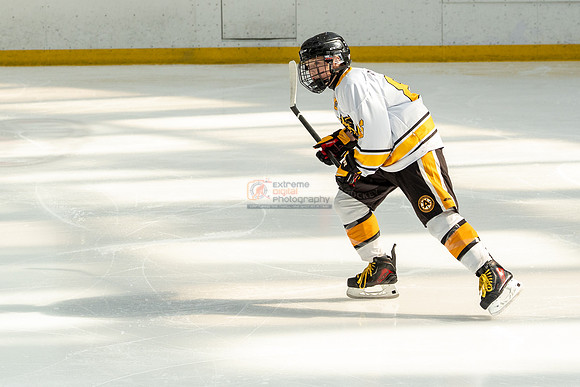 allstar-goal-diggers-04273