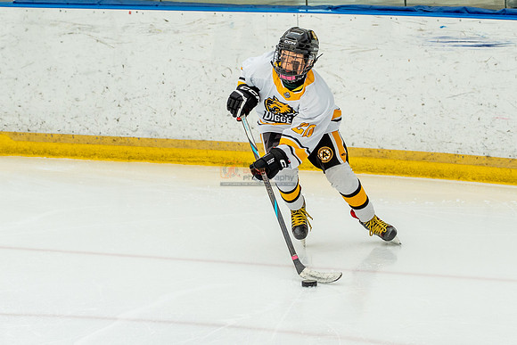 allstar-goal-diggers-04277