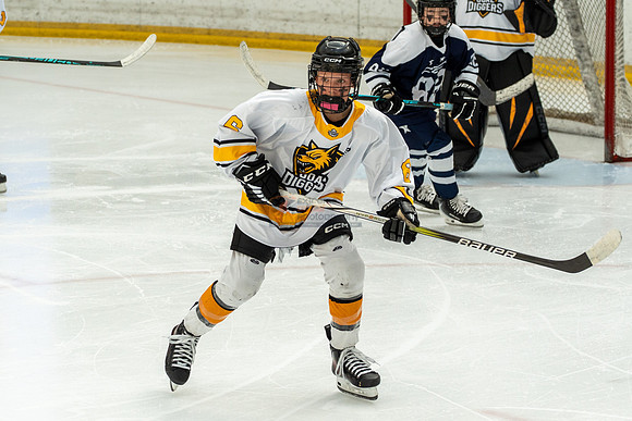 allstar-goal-diggers-04289