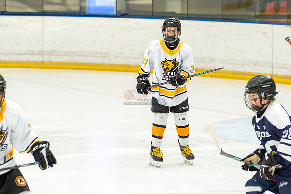 allstar-goal-diggers-04291