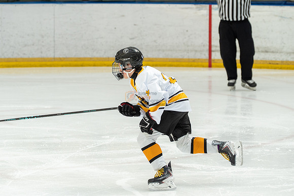 allstar-goal-diggers-04301