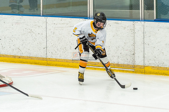 allstar-goal-diggers-04306