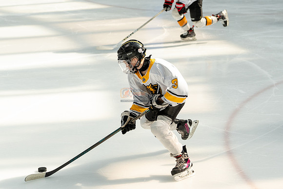 allstar-goal-diggers-04316