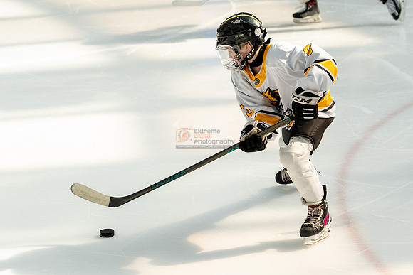 allstar-goal-diggers-04315