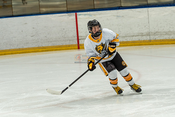 allstar-goal-diggers-04348
