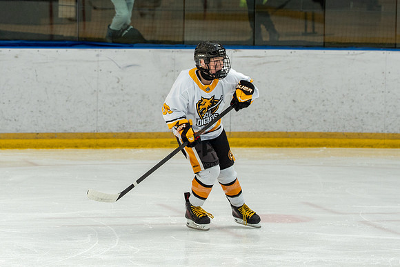 allstar-goal-diggers-04350