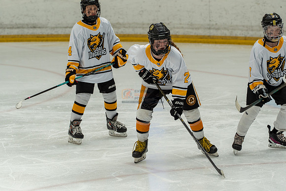 allstar-goal-diggers-04381