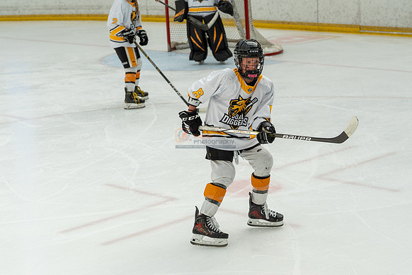 allstar-goal-diggers-04388
