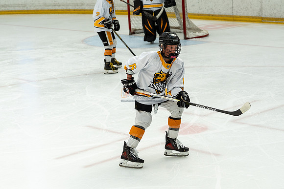 allstar-goal-diggers-04389