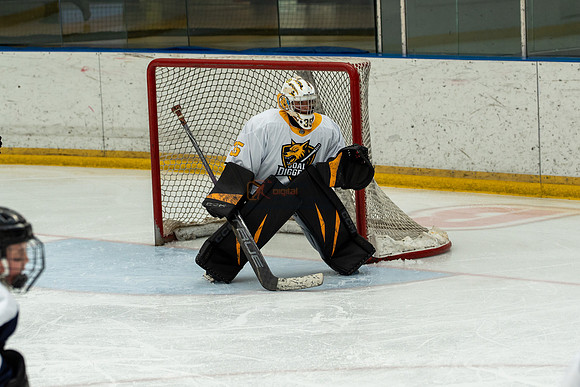 allstar-goal-diggers-04395