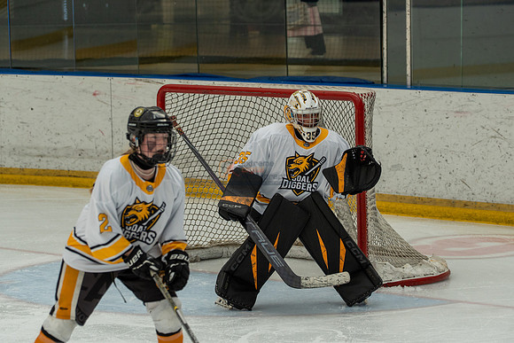 allstar-goal-diggers-04396