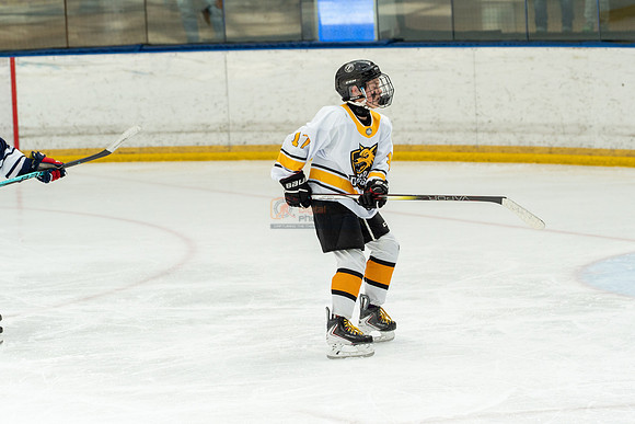 allstar-goal-diggers-04414