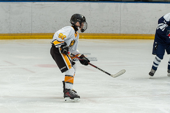 allstar-goal-diggers-04416
