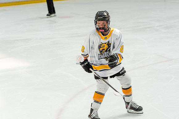 allstar-goal-diggers-04425