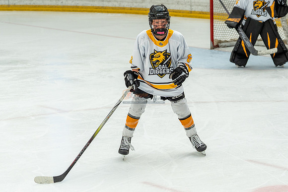 allstar-goal-diggers-04426