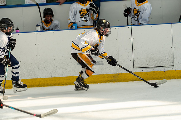 allstar-goal-diggers-04430