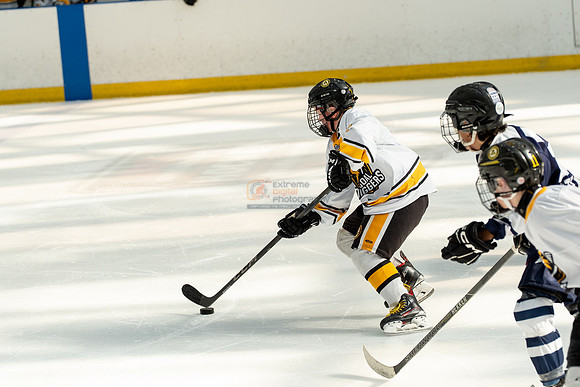 allstar-goal-diggers-04436