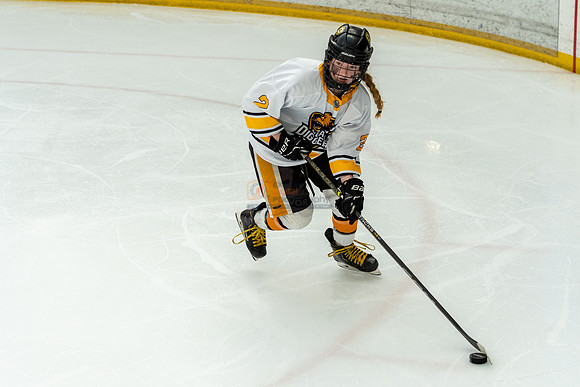 allstar-goal-diggers-04441