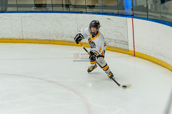 allstar-goal-diggers-04444