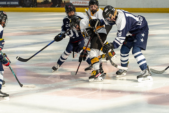 allstar-goal-diggers-04449
