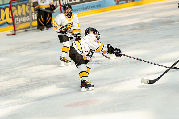 allstar-goal-diggers-04450