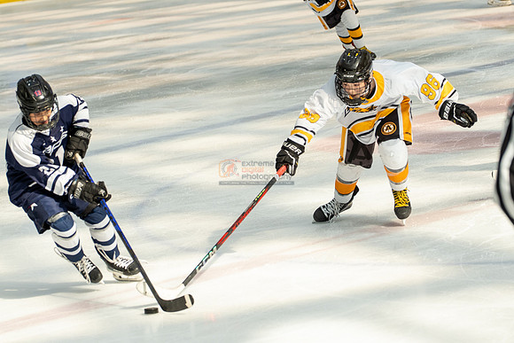 allstar-goal-diggers-04451