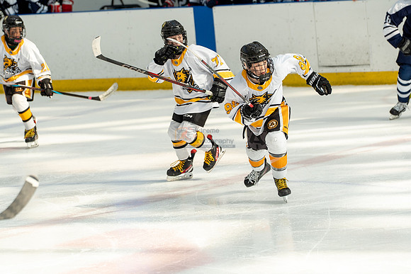 allstar-goal-diggers-04453