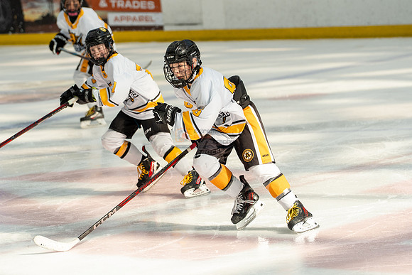 allstar-goal-diggers-04455