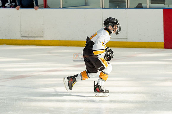 allstar-goal-diggers-04467