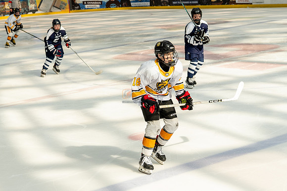 allstar-goal-diggers-04482