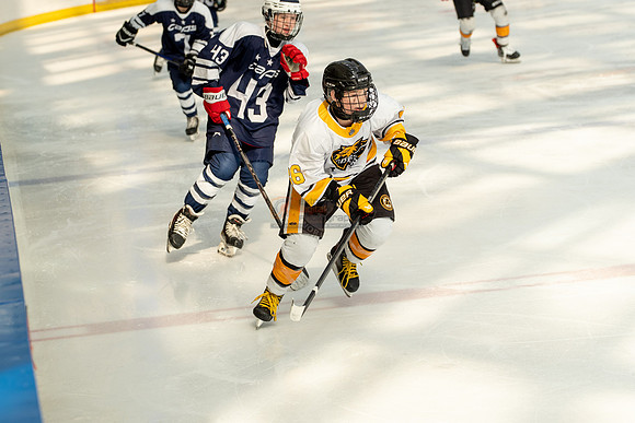 allstar-goal-diggers-04489