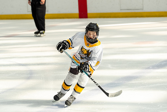 allstar-goal-diggers-04496