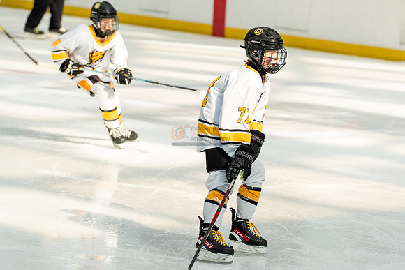 allstar-goal-diggers-04515