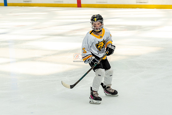 allstar-goal-diggers-04522