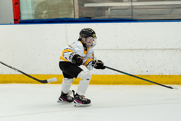 allstar-goal-diggers-04526